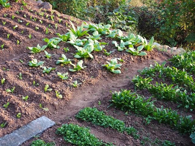 对方还没有放弃你，你会拒绝吗？