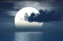 本是小家碧玉，受淫道鼓惑扯旗起事，祸倚福至，身首异处谁能断料