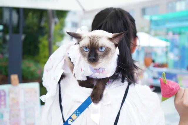 银幕漂流计划×长阳乐市!来长阳创谷赴一场艺术盛宴