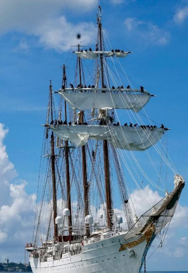 莱昂诺尔公主在巴西过情人节，紧身短裤秀结实大腿，百米高空绽笑