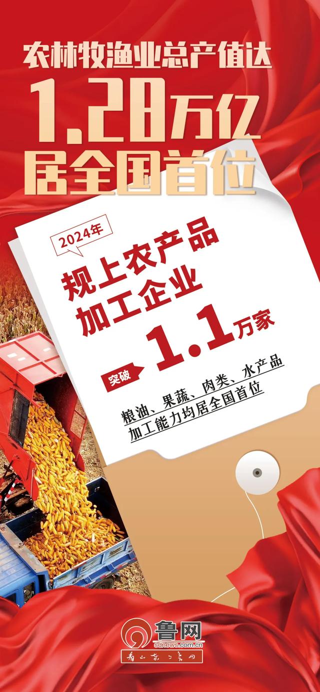 挑起大梁走在前，山东的2024有多惊艳？