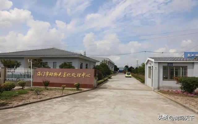 顾云飞专访：从自律到规范，京海“敢为天下先”的下个五年