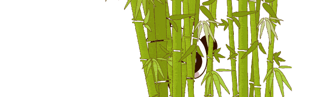 美国国家级“泼皮”现身