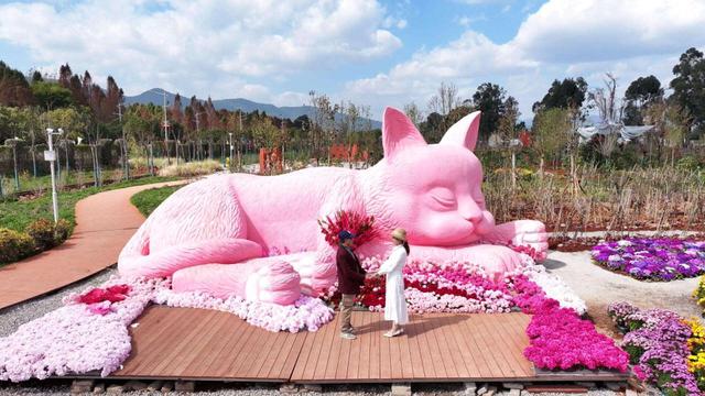 佳鸥天成四十之约｜圆梦宝石婚夫妇纪念短片拍摄