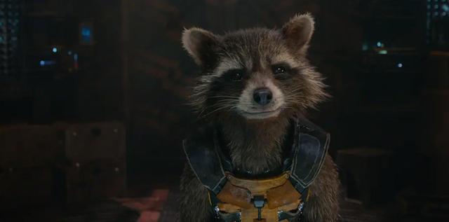 46岁浣熊布莱德利手托披萨出门，一字拖太抢眼，网友：老了也很帅