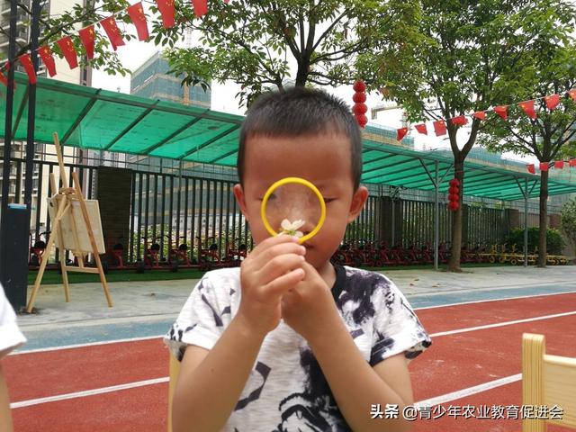 「萌芽行动」泊语湾伟才幼儿园---第9课