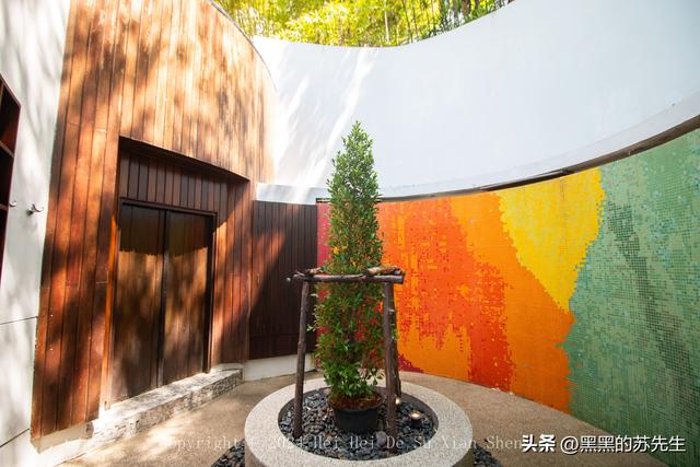 亲测周杰伦最爱的苏梅岛W酒店！这份沉浸式度假攻略请查收