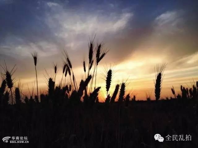 电影走进现实:还原陈忠实先生笔下的白鹿原