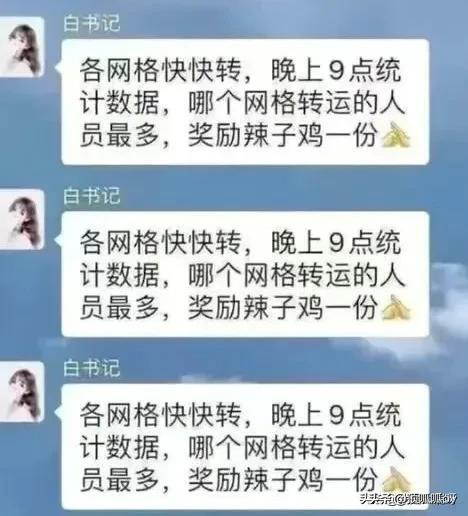 辣子鸡：我招谁惹谁了？白海飞：都是你惹的祸