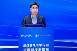 汽车制冷剂(2024汽车行业空调制冷剂论坛在京成功举办，全产业链合力推动制冷剂替代)