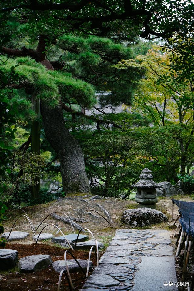 京都这座皇室的离宫，美且朴素的哲学，对得起超难的预约流程