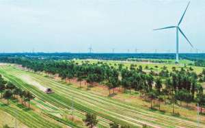 猫尾草之歌(猫尾草＋燕麦草 治沙又致富)