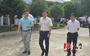 三个原(东安县委书记唐何深入大盛、南桥等三个乡镇调研)