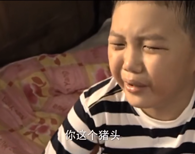 上嫁豪门当阔太，如今接小角色复出，“晴格格”王艳经历了什么？