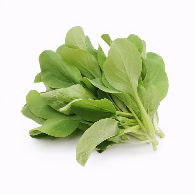 鸡毛菜，煮汤好？炒菜好？