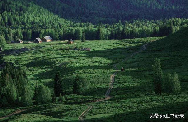 李娟《阿勒泰的角落》：绿色就是大地上最广阔、最感人的自由呀