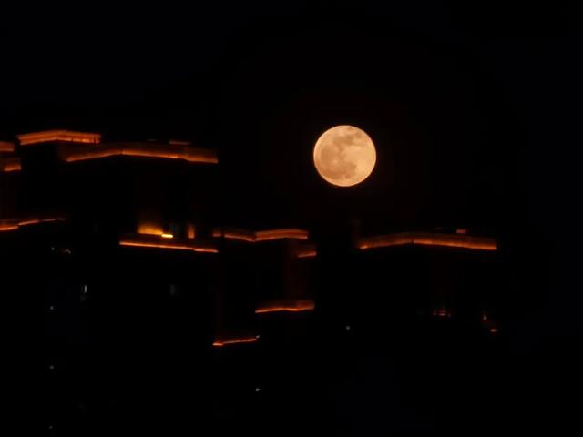 好圆!好大!好美