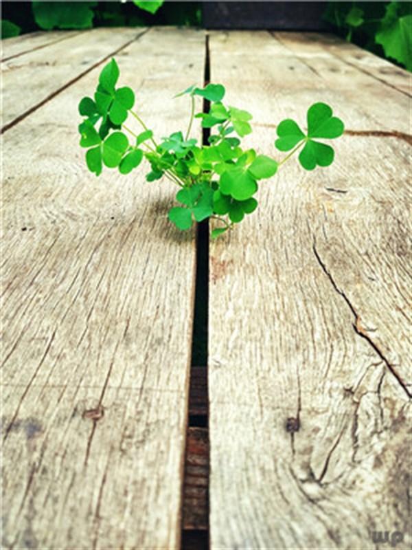 成功是指今天要比昨天更懂得爱，更懂得生活，更宽容，更慈悲 早安