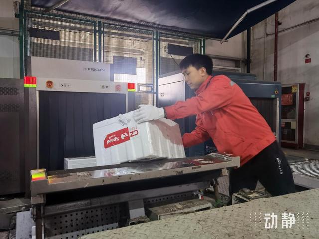 2025新春年货购销两旺，空运市场迎运输高峰