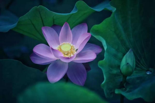 韩国CGV高端影城来了！营口万隆店7月31日正式营业！超值优惠套餐等你体验