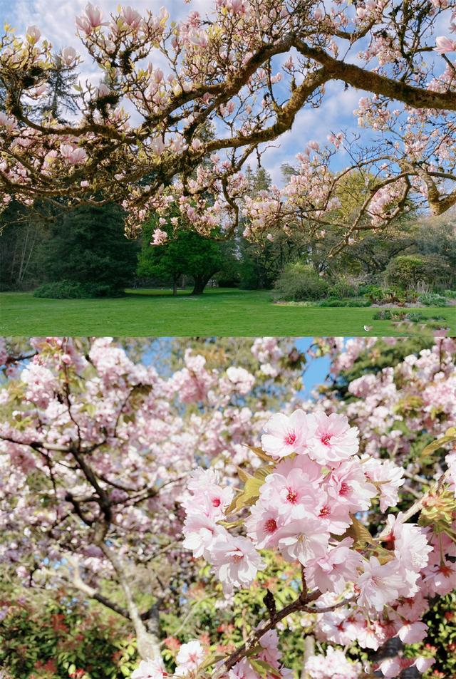 54岁“薛宝钗”近照曝光，皮肤水嫩看不出皱纹，年过半百至今未婚