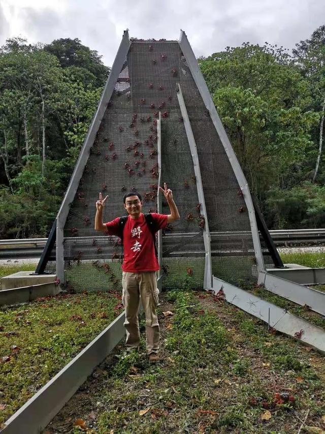 荒野间谍第二季-大迁徙队伍里的间谍红蟹