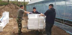 江川农场(江苏江川合作   干群股份经营   合作社式运作  140万尾水蛭苗落户黑龙江农垦江川农场