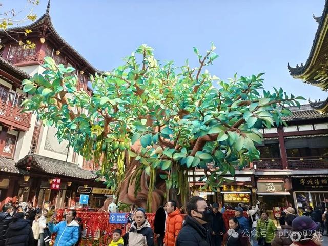 上海老字号日销汤团10万只，但为什么买不到一只元宵？元宵冷知识知多少