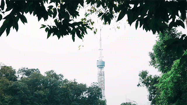 在线蹲一个起名高手，帮“云道”起个名