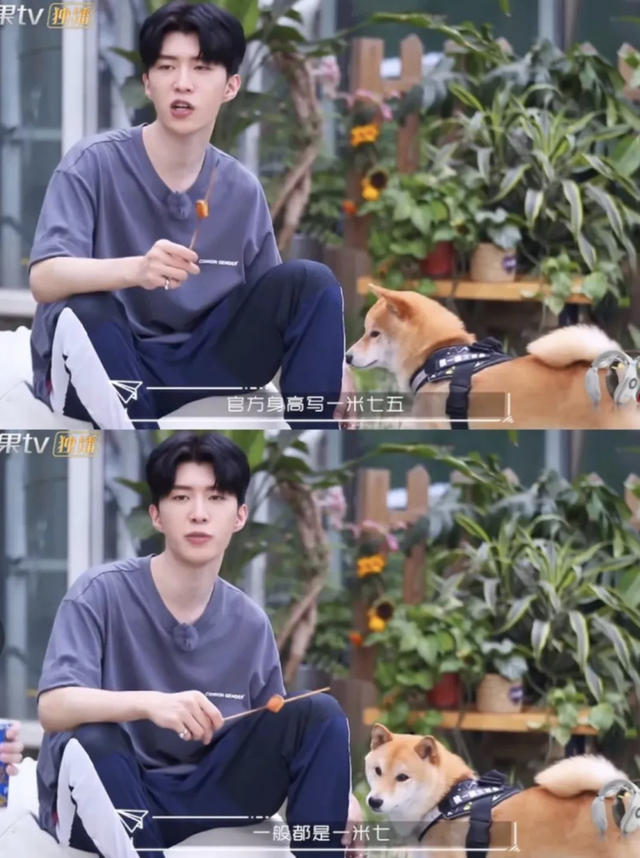 男明星身高凡尔赛比拼