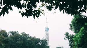 cora怎么读(在线蹲一个起名高手，帮“云道”起个名)