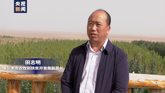 坐着高铁看中国丨行走“天路”最美青藏线！小小枸杞撑起戈壁绿洲