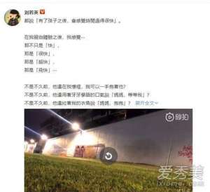 刘若英儿子(刘若英为儿子庆生刘若英儿子多大了 刘若英老公钟小江来头不小)