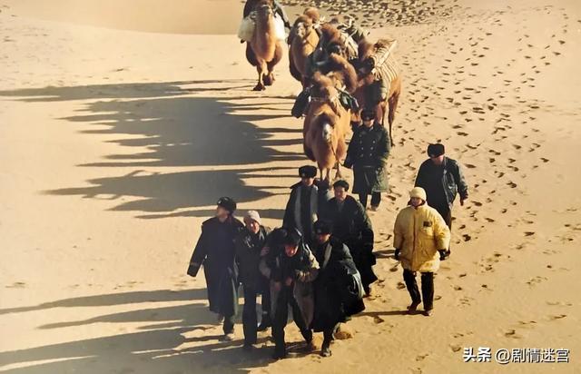 刑侦剧《西部警察》：王奎荣、文兴宇、牛飘、冯宪珍、李婷主演