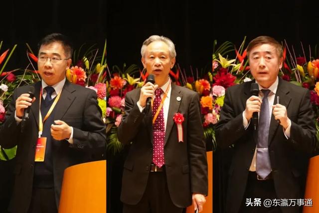“博采众长·协调发展”日本华侨华人博士协会2024年会在东京召开