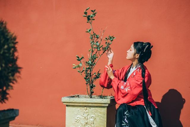 思婷讲实话：公信力大幅下降，有些人该反思，而不是让百姓背黑锅