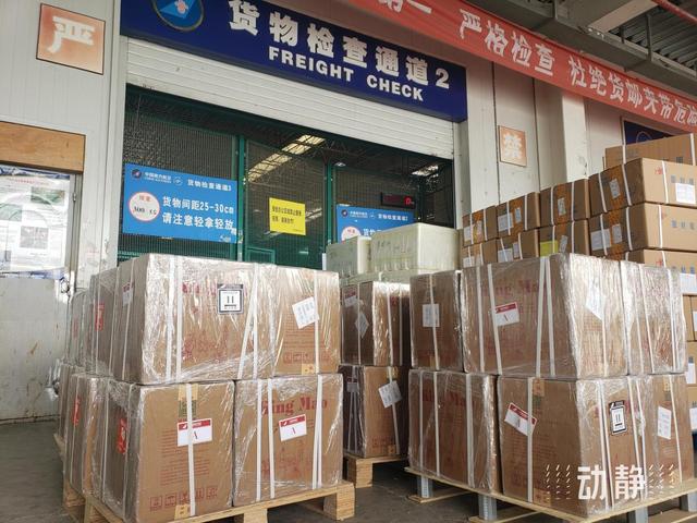 2025新春年货购销两旺，空运市场迎运输高峰