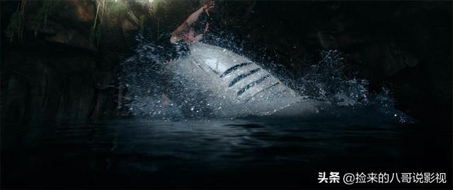 人类对鲨鱼的恐惧，都在这4部电影里了