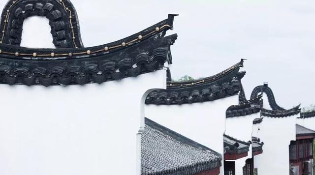 哲思｜富贵如浮云