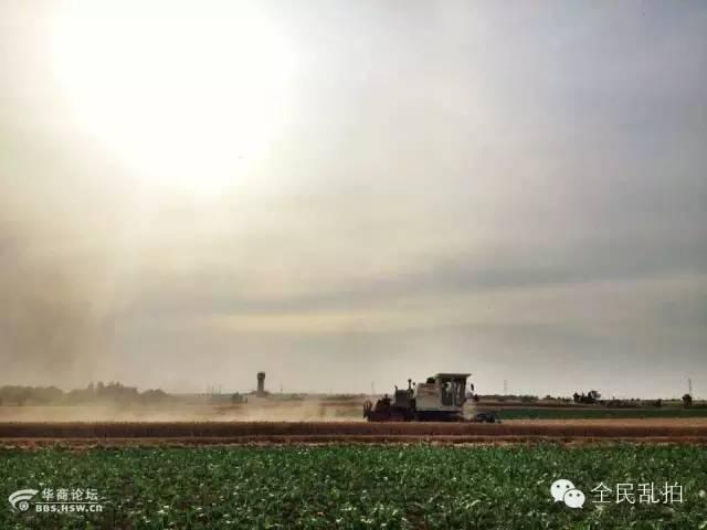 电影走进现实:还原陈忠实先生笔下的白鹿原