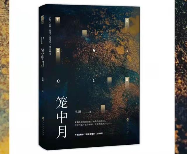 言情文｜推文：岛頔《笼中月》港风大叔少女文