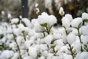 没有放弃(对方还没有放弃你，你会拒绝吗？)