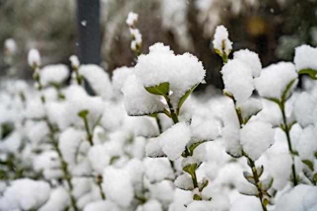 对方还没有放弃你，你会拒绝吗？
