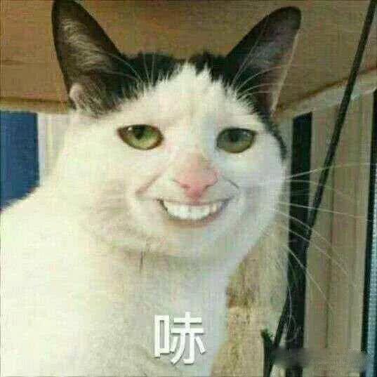 在手机上发现了女朋友的秘密