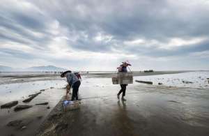 金山梦(广东台山人当年的金山梦，一首当地长篇木鱼民瑶让往事重现)
