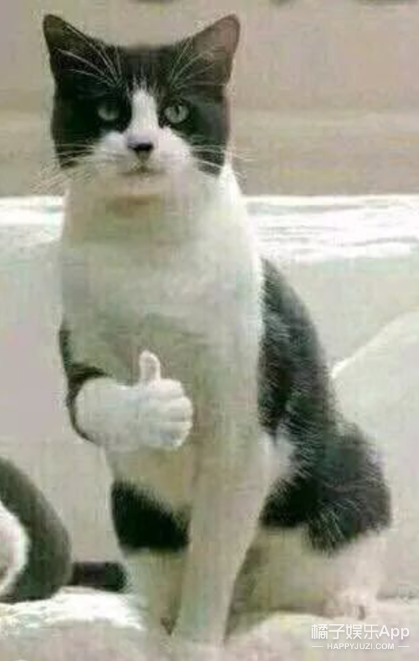 这不比霸总靠谱？王萌力挺陈露锤渣男晒真相，金靖出名不忘刘胜瑛