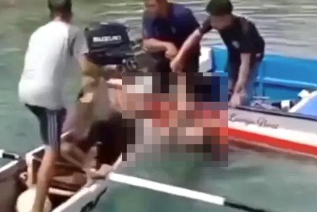 3.94米鳄鱼拖人下水：印尼妇女岸边遇袭遭“死亡翻滚”，村民营救1小时后寻回其遗体