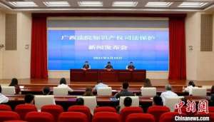 疯狂e戏代(广西法院发布知识产权保护典型案例 涉多个知名品牌)