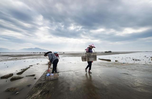 广东台山人当年的金山梦,一首当地长篇木鱼民瑶让往事重现