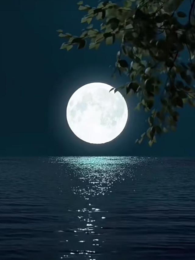 过年的惆怅——也许我们不配拥有家的温暖